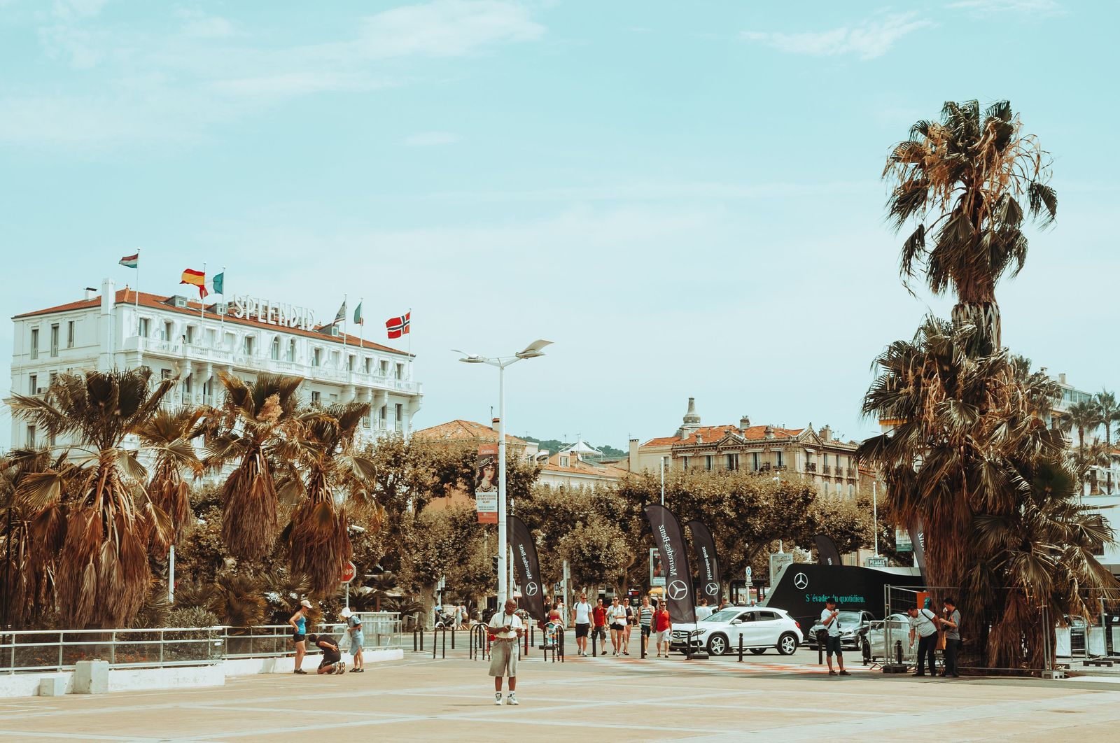 Impact Local . agence visibilite et marketing local pour artisans et TPE a Cannes